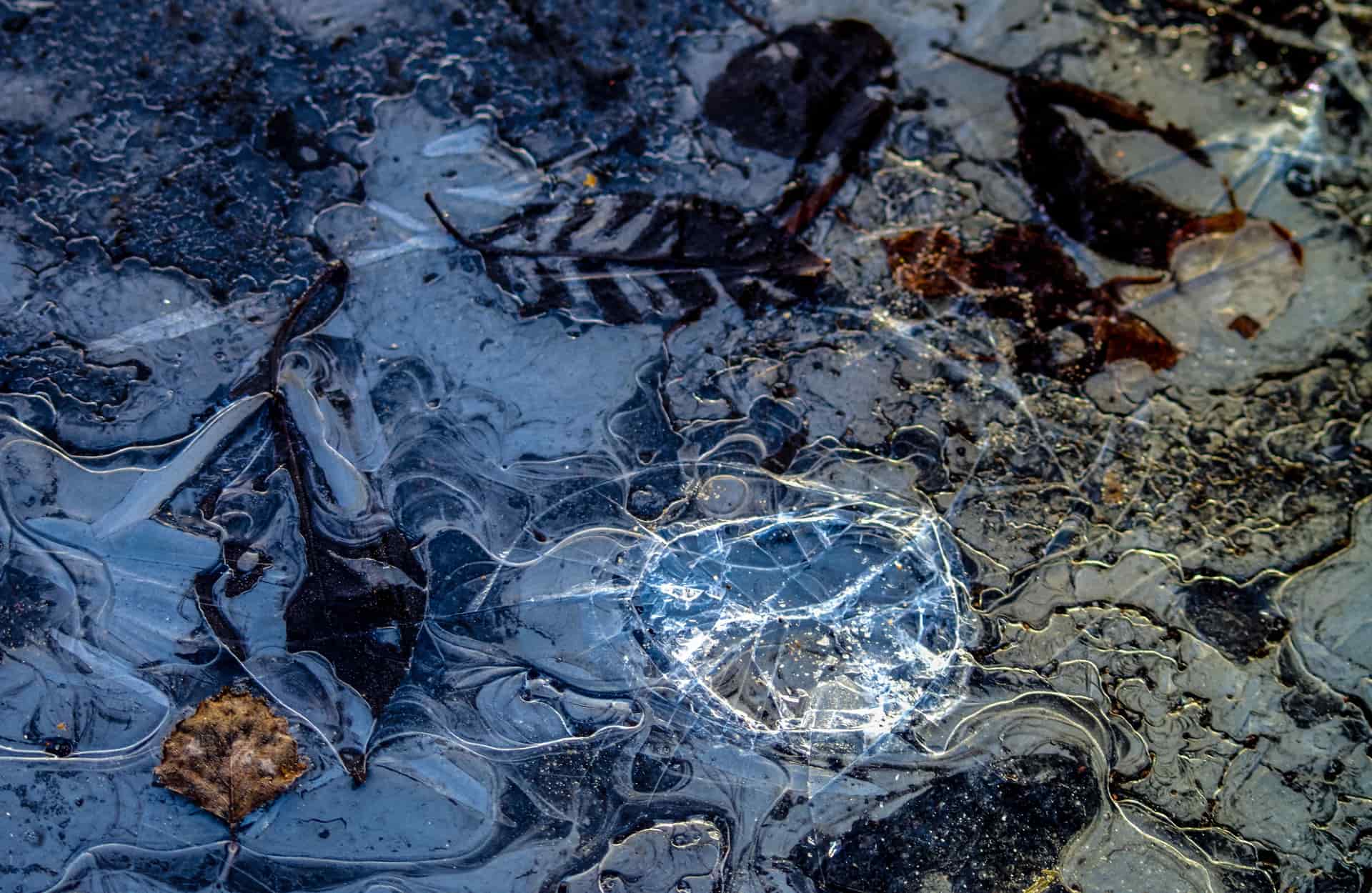 Ice forming across a shallow water surface on a freezing morning.