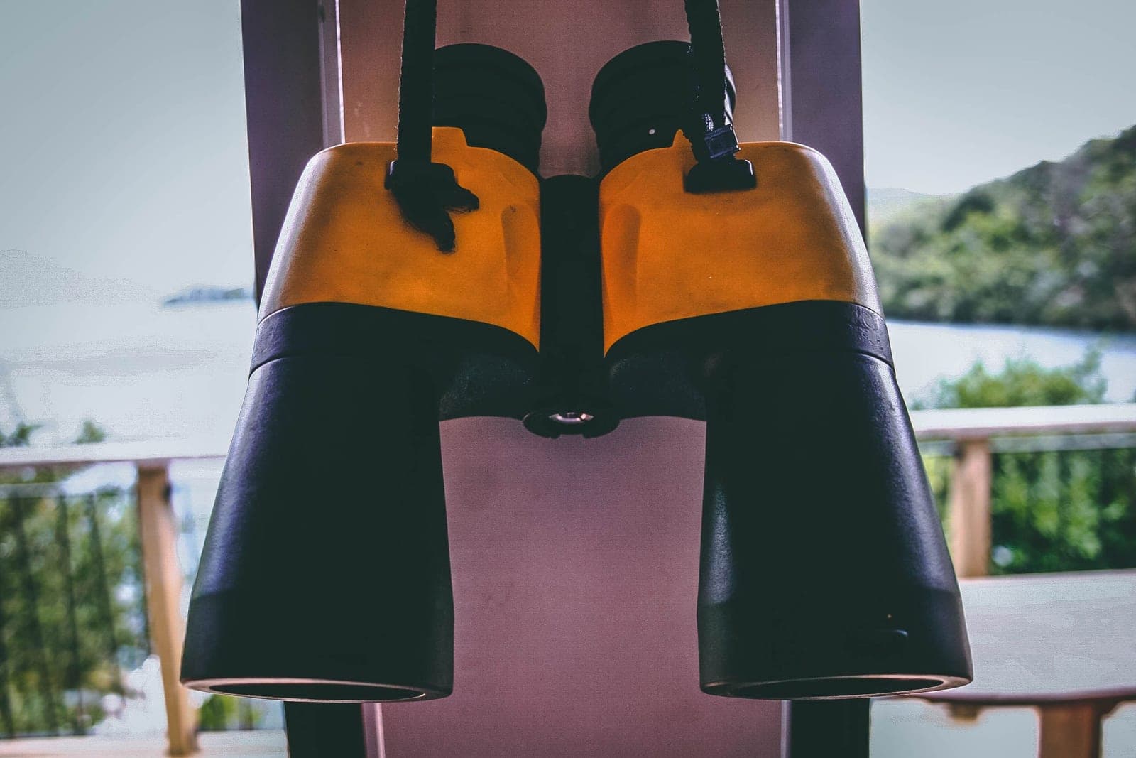 A pair of binoculars resting on a windowsill looking out over a winter garden.