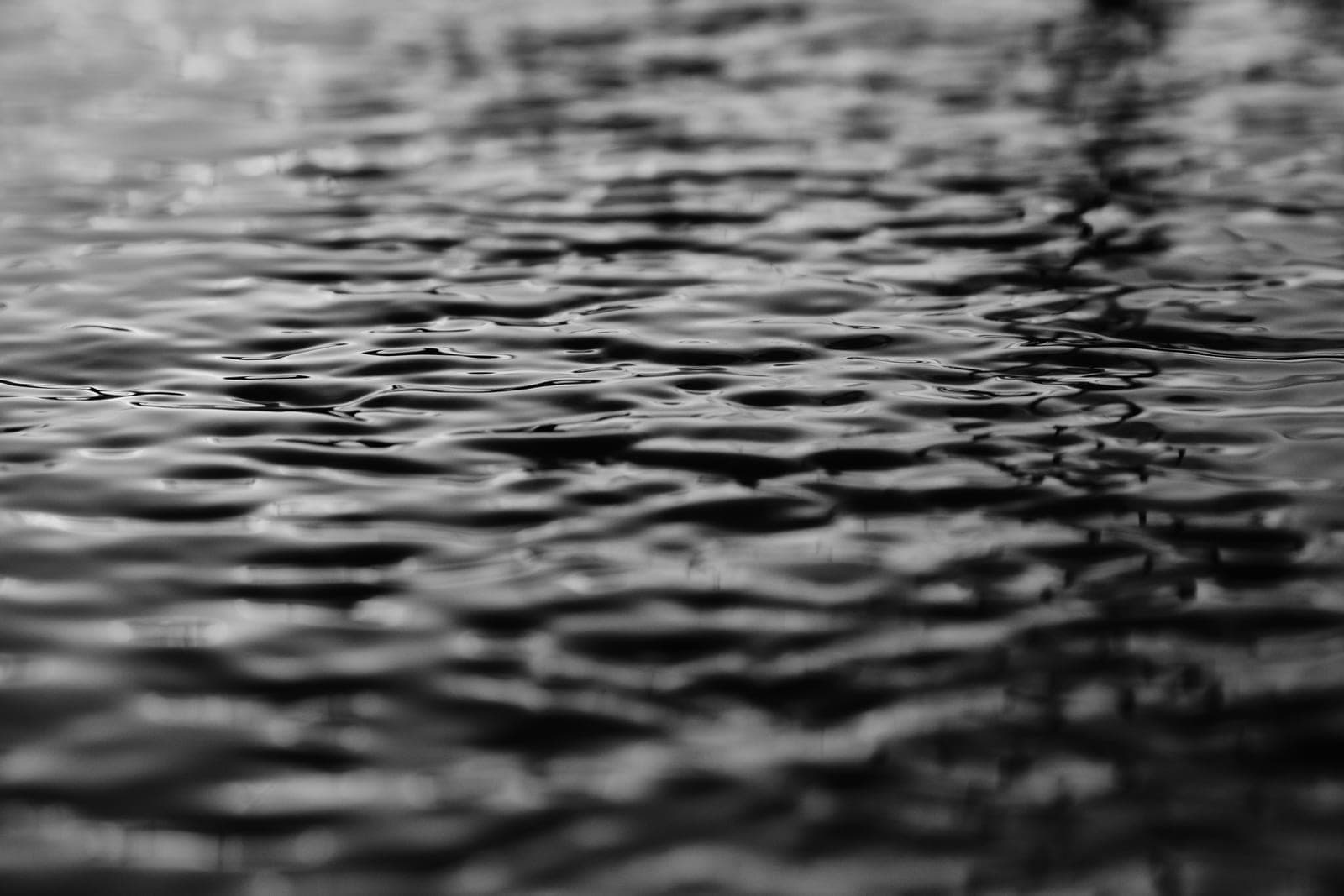 Ripples spreading across the surface of a shallow bird bath.