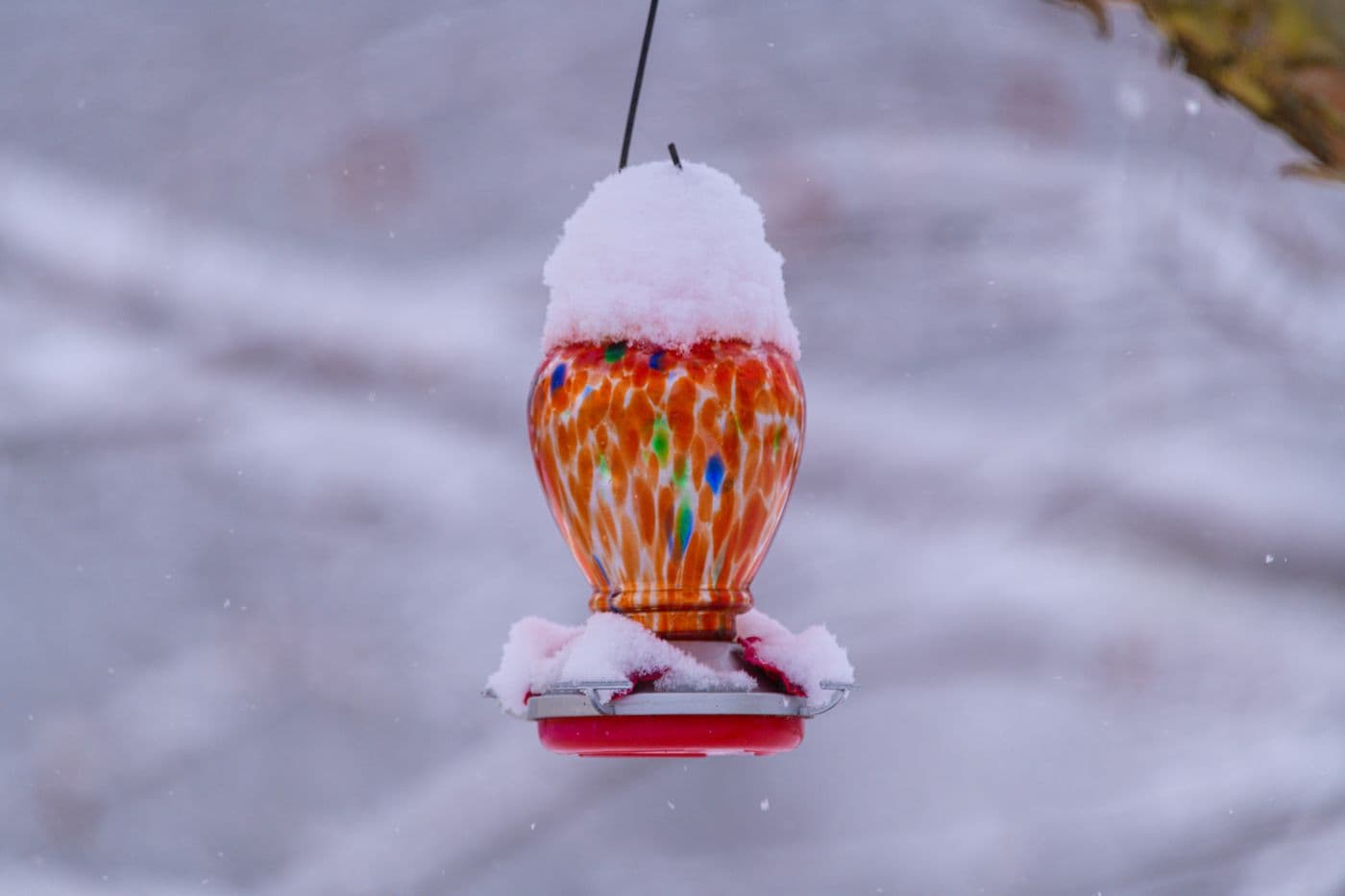 A bird feeder topped with a thick layer of settled snow.