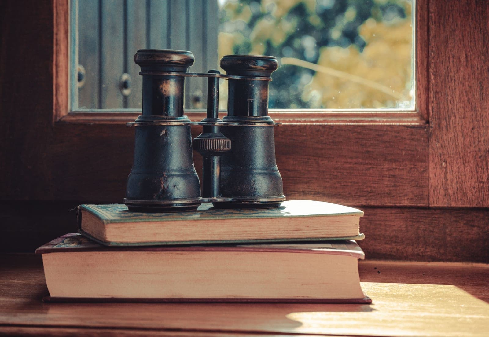 Binoculars and a field guide on a wooden table by a window.