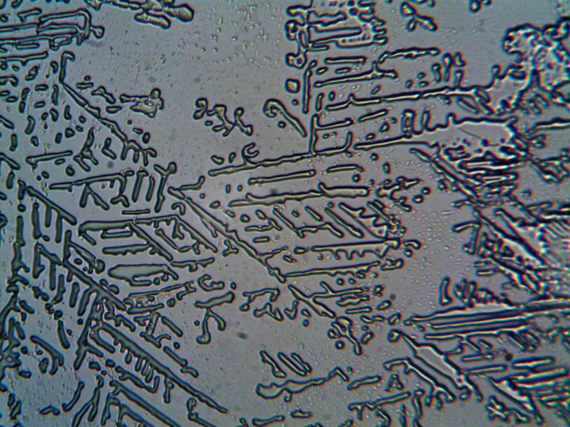 Frost crystals spreading across a cold glass surface, seen close up.