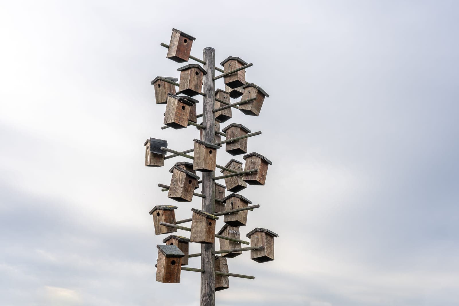 A wooden nest box mounted on a pole in a winter garden.