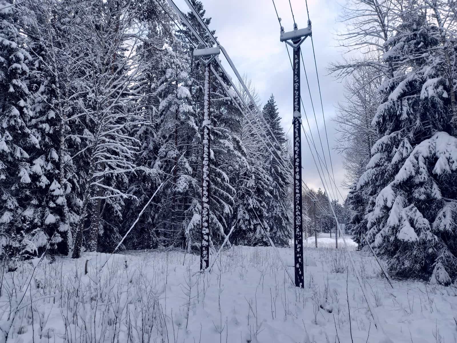 A metal baffle fitted below a bird feeder on a pole in a snowy garden.