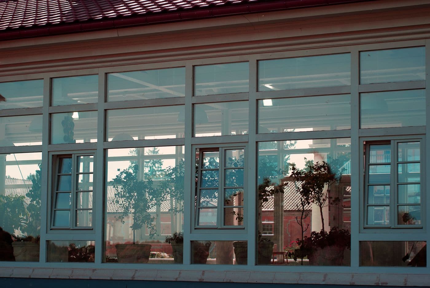 A wall of house windows reflecting trees and nearby buildings.