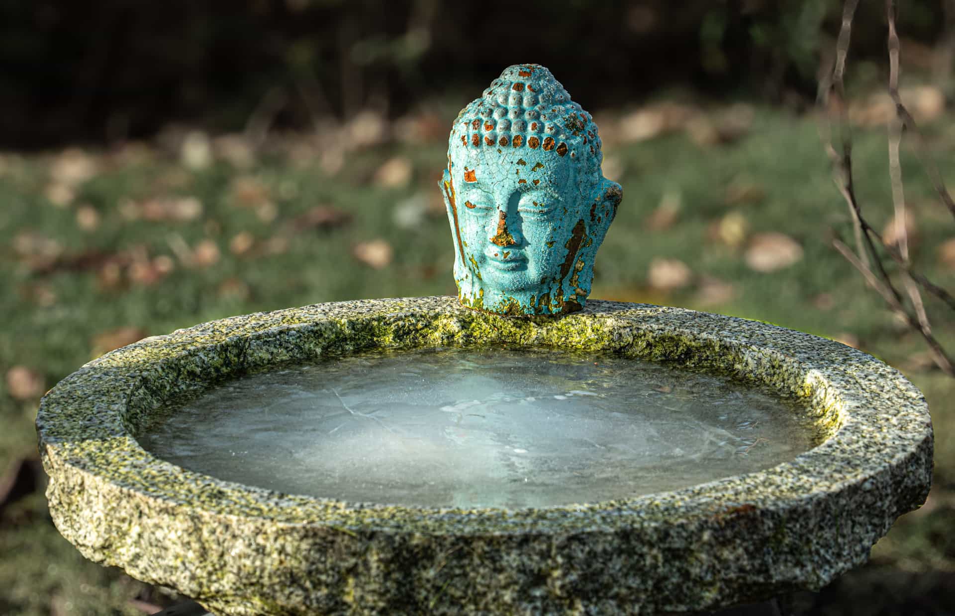 A stone pedestal bird bath standing in a bare winter garden under overcast sky.